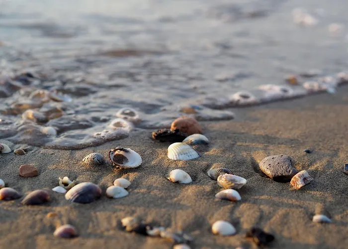One Bedroom Flat With Balcony Next To The Sea *